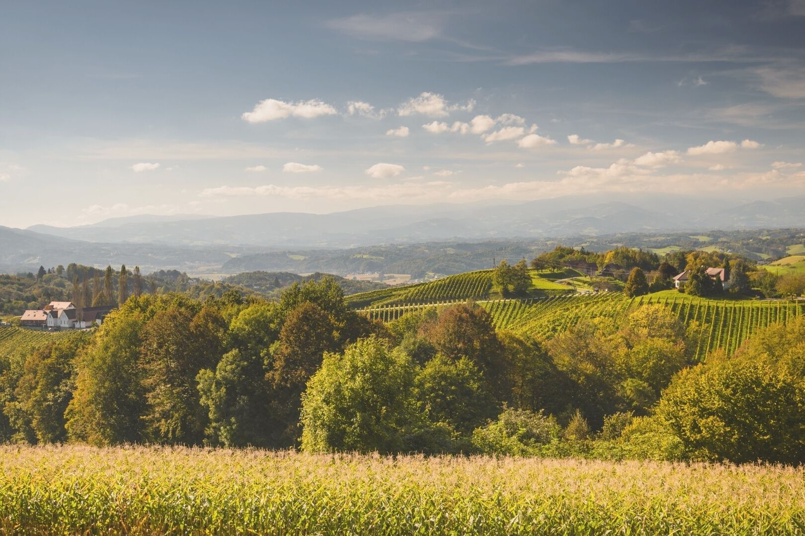 Bild zeigt grüne Landschaft mit schönem Ausblick.
